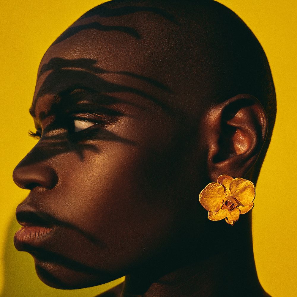 Mini Phalaenopsis Studs